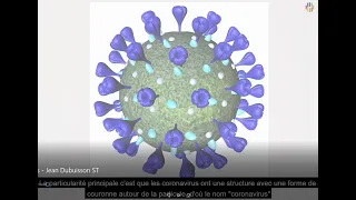 Les coronavirus