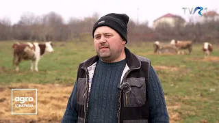 Petru Pop, fermierul care își îngrijește singur animalele și tot el vinde și laptele