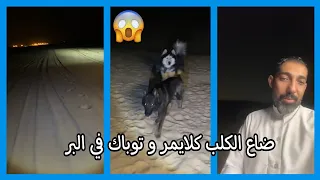 عبدالرحيم ضيع الكلب كلايمر و توباك في البر 😱  سناب عبدالرحيم Bingoo
