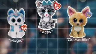 My COUSIN guesses Beanie Boo names!