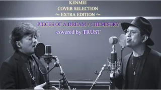 【cover】PIECES OF A DREAM ／ CHEMISTRY covered by TRUST