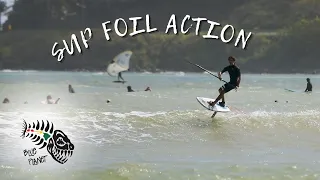 SUP Foiling- Zane Saenz ripping on the NE side of Oahu