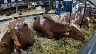 World Dairy Expo 2022 | Madison, WI