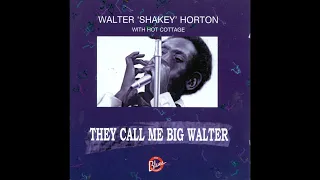 Big Walter Horton - They Call Me Walter (Full album)