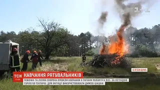 Пожежні та лісова охорона провели навчання з гасіння пожежі на Херсонщині