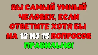 Интересная викторина с ответами #4. Вы самый умный? #викторина