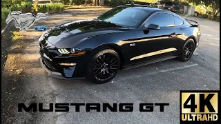 2020 Ford Mustang GT {Manual} | 4K 60FPS | POV | Test Drive