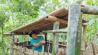 Make water shower by bamboo - Upgrade clay stove - cooking | off  grid living |  Ep.48