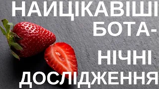 БОТАНІКА-2019. НАЙЦІКАВІШІ ВІДКРИТТЯ НАУКИ ПРО РОСЛИНИ. ЧАСТИНА ДРУГА.