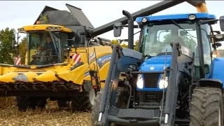 KUKURYDZA NA ZIARNO 2022 WE WRZEŚNIU?! 2 X NEW HOLLAND/