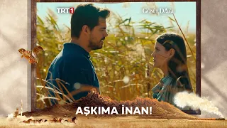 Taner, Selma'yı aşkına nasıl ikna edecek? | Gönül Dağı Kolajlar