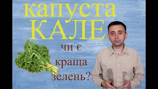 капуста Кале