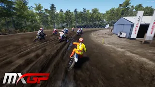 MXGP 2019 - The Official Motocross Videogame / Husqvarna FC-250 | Neuquen