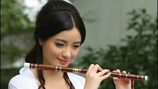 YOU WILL NEVER UNDERSTAND ME (cover chinese electric flute  remix)