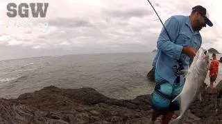 SGW Fishing Fiji Part 1 -  Land based fishing