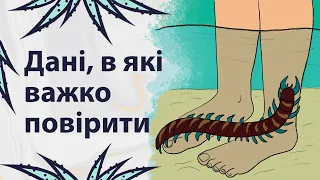 Вражаючі факти та статистика | Реддіт українською