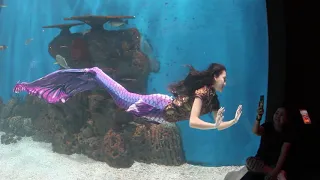 Meet and Greet Mermaid at Jakarta Aquarium Indonesia