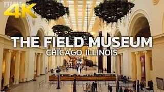 CHICAGO - The Field Museum of Natural History, Downtown Chicago, Illinois, USA, Travel, 4K UHD