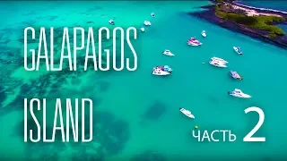 Галапагосские острова (часть 2-я) Невероятный Эквадор