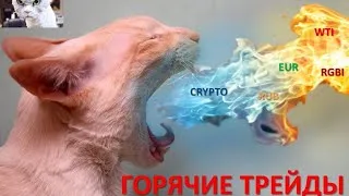 Суровые Эллиоттчики. Bitcoin & Crypto