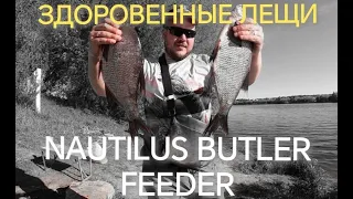 Ловим здоровых лещей в середине мая!#рыбалка #fishing #funny #река #рыба #funnyvideo