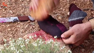 COYOTE PETERSON KILLS A RAT (WARNING! DISTURBING) (coyote peterson is an animal abuser? EXPOSED)