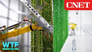 Inside a New Vertical Farm Full of Robots