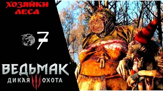 👁 Прохождение Ведьмак 3 Дикая охота ❼: Хозяйки леса, ведьмы, Волколак | The Witcher 3 Wild Hunt