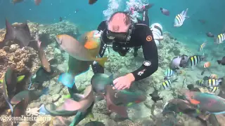 UTD Sidemount diving