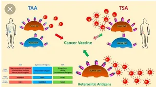 tumor antigens made easy...