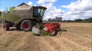 Combine harvesting peas.Part 2