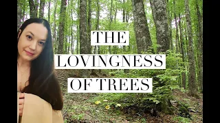 Intelligent Trees Movie | The Empathy Of Trees