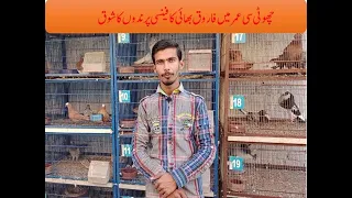 Visit at Farooq sheikh pigeons loft in Faisalabad | Imported Fancy Pigeon Farm in Faisalabad