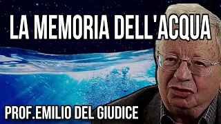 La memoria dell'acqua-Prof.Emilio Del Giudice ★MY LITTLE CROCODILE★
