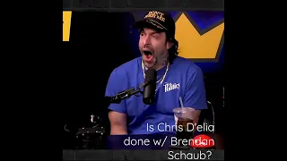 Is Chris D'elia done with Brendan Schaub? - The King & The Sting & The Wing