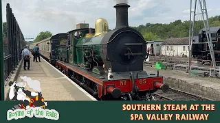 Southern Steam at the Spa Valley - 17th June 2023