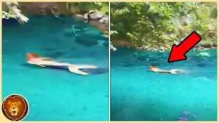 Was sie in einem Fluss gefangen haben, hat die ganze Welt schockiert!