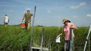 Testing the limits of saltwater intrusion