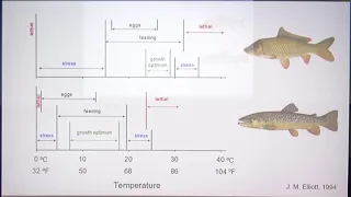 Wisconsin's Coldwater Trout Fisheries in a Warming Climate