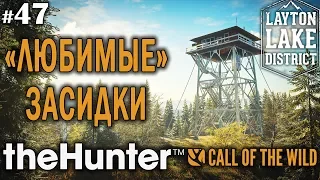 theHunter call of the wild #47 🔫 - "Любимые" Засидки - Винтовка - Олень, Медведь