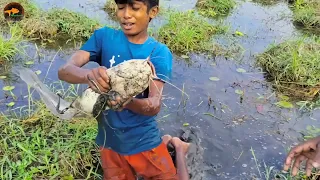 😲Unbelievable Boys Searching & Catching Big Shoal fish in Mud Water❤️Unique Hand Fishing Video