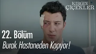 Burak hastaneden kaçıyor! - Kırgın Çiçekler 22. Bölüm