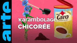 Chicorée - Karambolage - ARTE