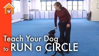 Teach Your Dog to Run a Circle Around You