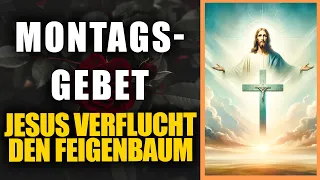 Montagsgebet: Jesus verflucht den Feigenbaum