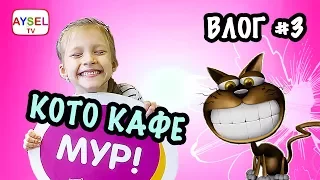 VLOG#3. В КОТО КАФЕ "Котики и люди". 30 Котов! ЗЛЫЕ И ДОБРЫЕ ждут своего хозяина""