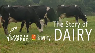 The Story of Dairy | Regenerative Agriculture Documentary
