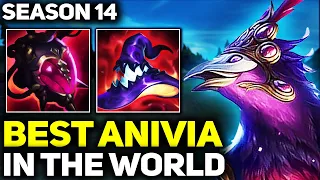 RANK 1 BEST ANIVIA IN SEASON 14 - AMAZING GAMEPLAY! | League of Legends