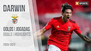 DARWIN NÚÑEZ | SL Benfica | Highlights (2020-2022)