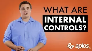 What are Internal Controls